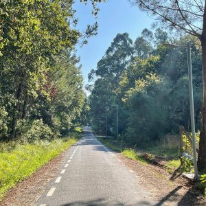 04224df7 Bb7f 4cb4 A940 447592e1a4a8