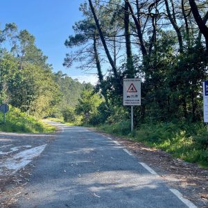 0957d9cd 33f3 42d1 B63f 6c25f58ee4b3