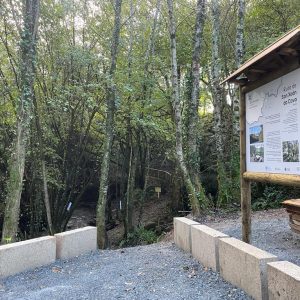 0dc242d0-9397-42ba-b50e-e79ba791b230