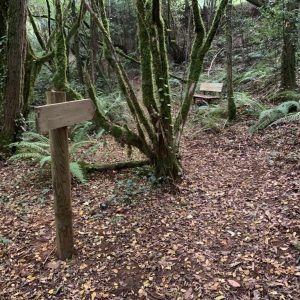 1048c640-fecf-4257-af38-73e260921355