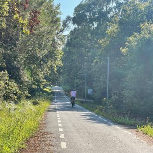 11896469 2b3b 444d 9b4e A8f48157d123