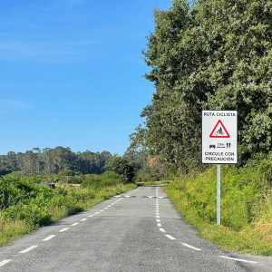 1d61d403 Adf8 404f 8339 76ab11287e5b