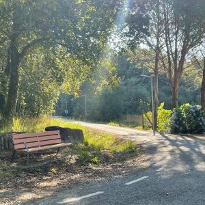 22626783 130b 4cfe A782 7f8afdfaa264