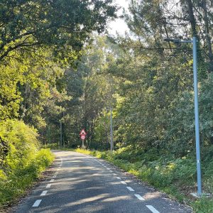 27590082 5522 4e97 91f6 1a0591e8836d