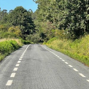 28f93bfd Ea4b 48e1 9a8c A3c6c3b3a0c3