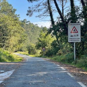 297f36b3 805f 4709 9ae3 656209d4ec43