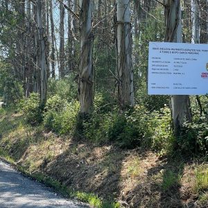 2a6d4e34-c786-4584-9762-dc822450c6c9