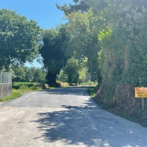 2b956551-8dd0-4e1b-a25c-0b5744a51609