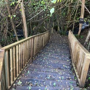 3c31cb32-6595-4adb-927a-c847657c7bcc