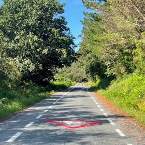 5b475e39 17aa 4246 9200 6e27acce976f