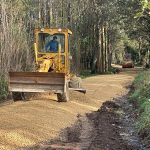 5d50491f C5cc 4fa0 A846 E08ca315645a