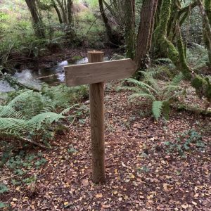 60f66f9a-516e-4932-bc8d-84abec356153