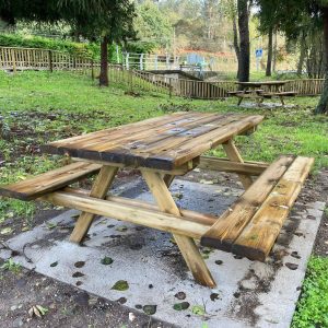 6fb53af5 E100 4c9a 9755 71125ed8bbaf