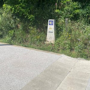 81a7daa5-7507-4d08-aec2-a7727259dcb2