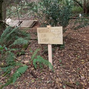 81aad393-b750-449a-b436-1c82478f7b91