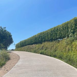 84329440-7297-4758-8784-5ffa570f7577