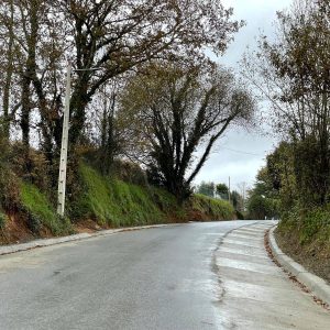 8b12654d De47 45e5 95da 1ea7a0836ee7