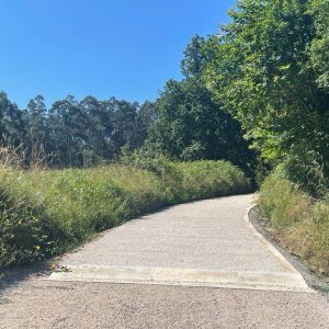 8b3364e7-d26e-480b-b36b-ef3b26d464f7