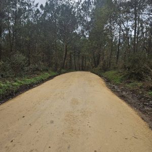 8c0fd0d0 C144 4da4 A142 1f19ee518e42