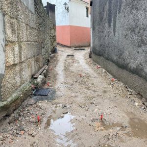 8eb0d8ff-a011-470b-be87-32fb474f2818