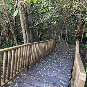 983401cc-e516-46f9-a4b4-e2b340be8bbf