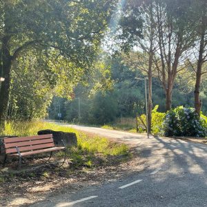 9a30028e 3d77 48db B5fd 6cbb1ca9a695