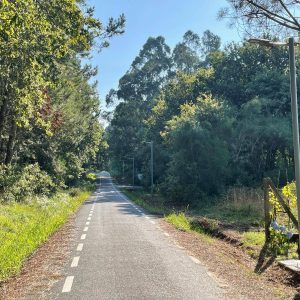 9fff47d3 B66c 4e35 Ad69 4e0f32ec0e6d