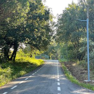 A5c8ea1d 111a 4e89 85a5 Fa092d903a76