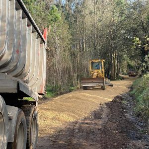 Af65d2b6 88b5 4035 B780 F2b7bf2e5a7b