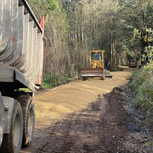 B6f3a716 De06 4993 B35a 267705dfed0f