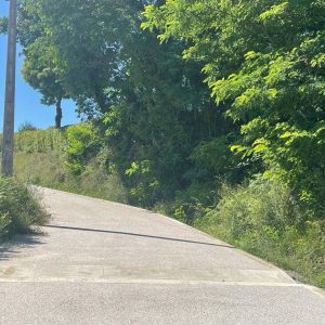 bd41db8d-7090-4c33-b2ab-65a0e29d4d63