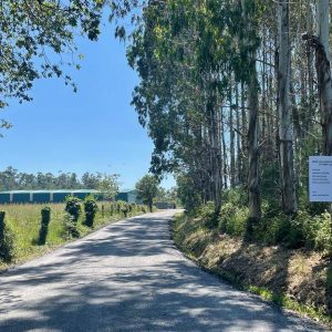 c0dc2232-5df0-48a3-9dd5-c467308a1c5a