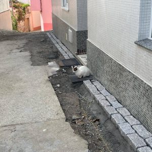 C30375d0 E545 47ef Beeb A81ac563fedf