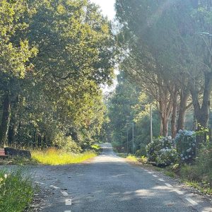 C6641641 2499 4daf 9631 3b299e7358f7