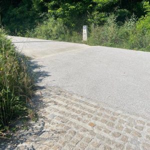 cd56d85a-c0eb-43a7-a5ae-a00a4d06a27a