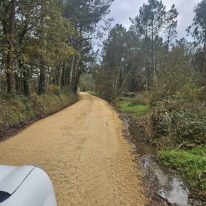 Cdb007c9 5e7b 4a02 B1ef C150171519c8