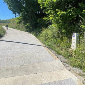 d3c2e60e-2276-42bd-894b-9fba17ce1b7d