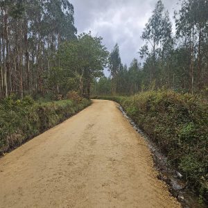 D487576f 1cd4 45fc B574 E5ed318b2f5f