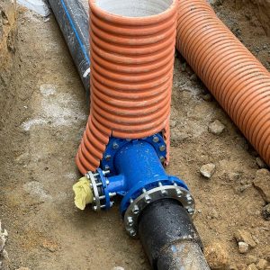 D70e8052 0561 4f5d 8a4f 9175f88b3f95