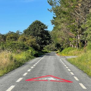 E58d1f06 9ecd 448a 84d8 48f7bb04950e