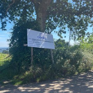 ea8087c2-3a65-4dd6-b925-40c448d4d62b