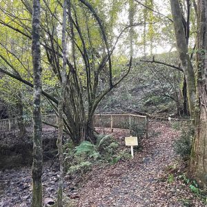 f8ba0414-8f05-442d-ac7f-48e7af948fda