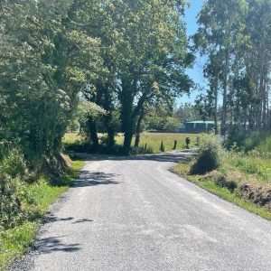 fd20df80-7851-4140-a8a4-1aa43a5705b6