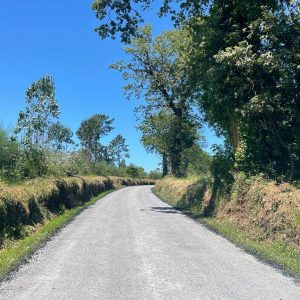 fd596173-3fea-4e9e-bae2-2144e0f7f70d