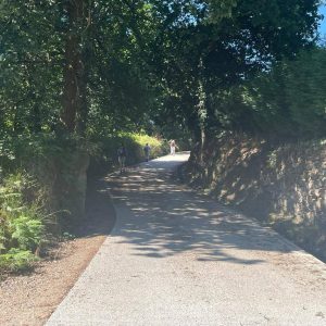 fe0bbd45-9f01-47b1-939e-4548c7753043